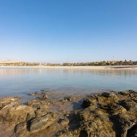 Apartment Home2book Charming Duplex, Terrace & Pool, Caleta *